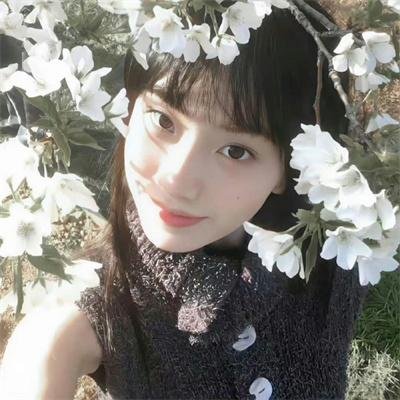 面包与玫瑰